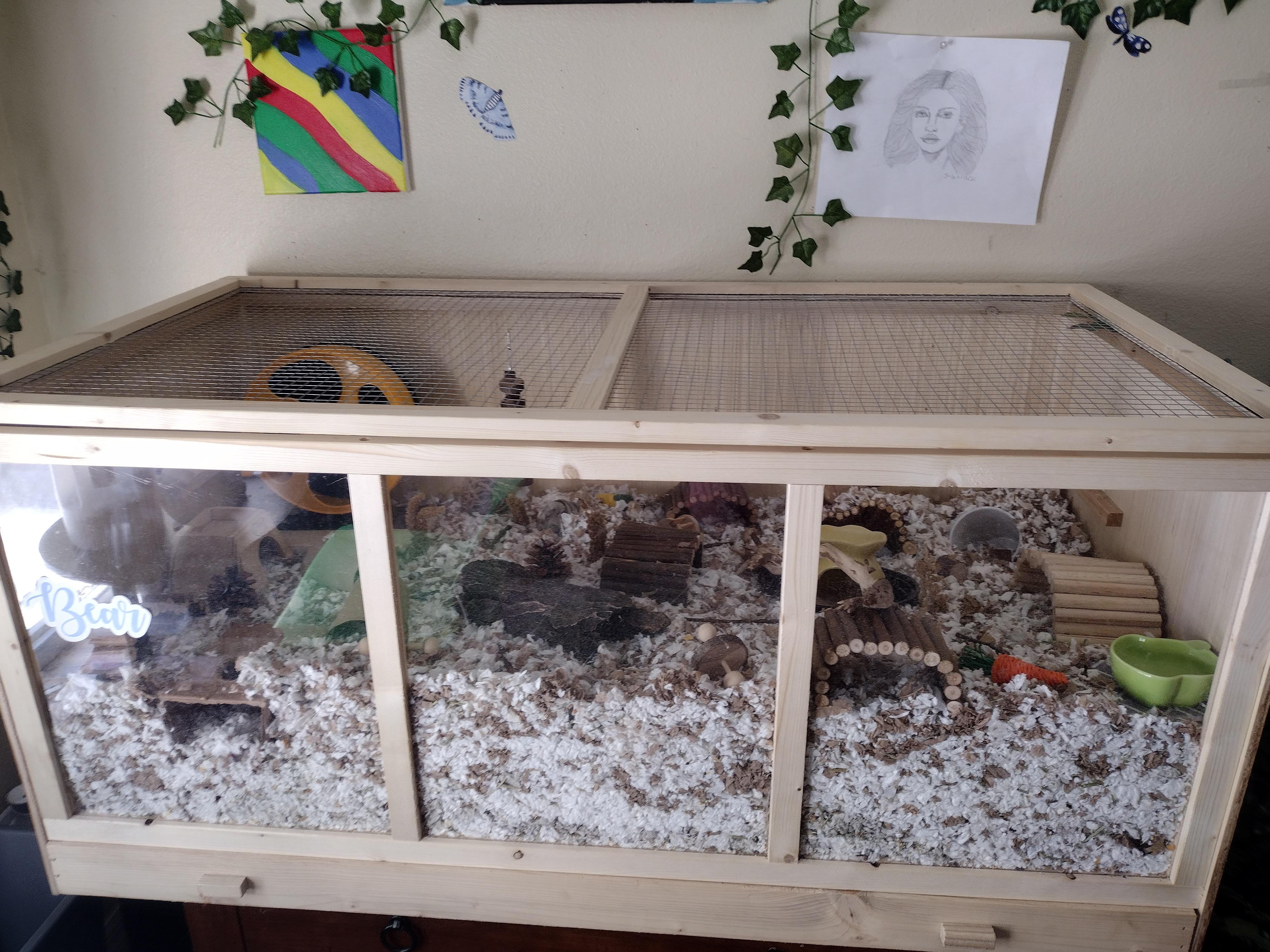 A hamster enclosure with deep bedding for burrowing