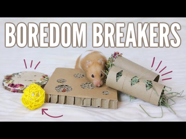 Simple hamster foraging toys made with cardboard tubes, paper, and hidden food