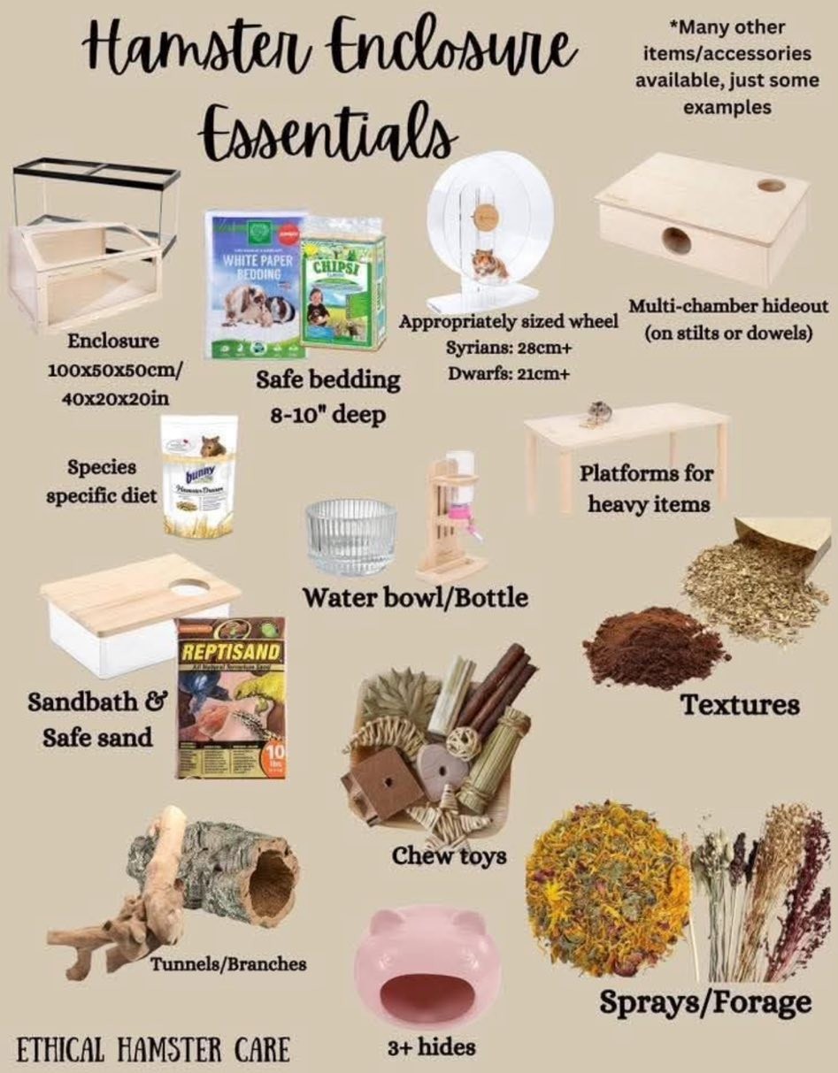 Hamster care sheet