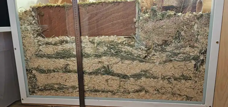 A safe hamster bedding mix using paper bedding, aspen, and hay for burrow stability