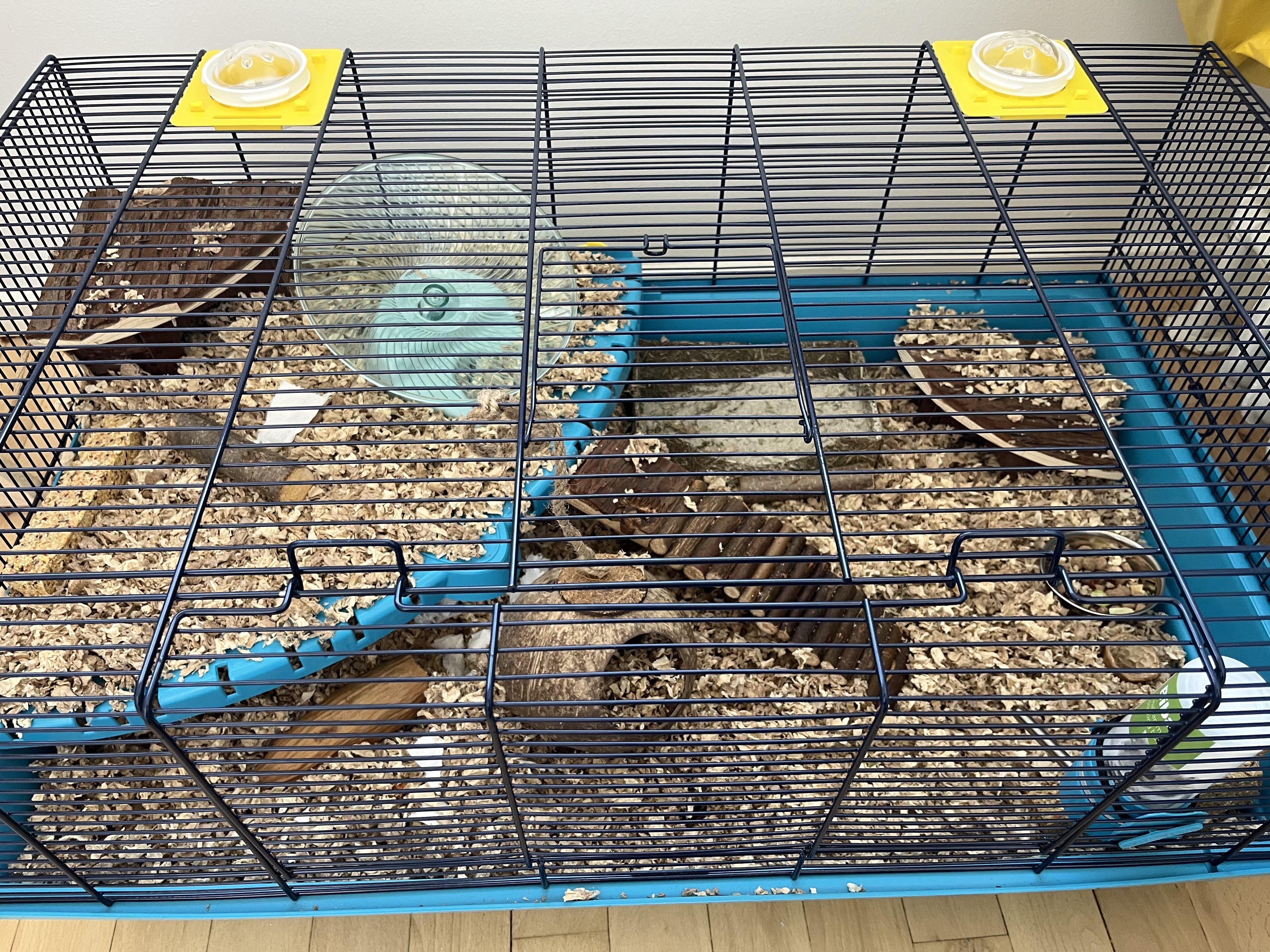 A hamster enclosure with shallow bedding