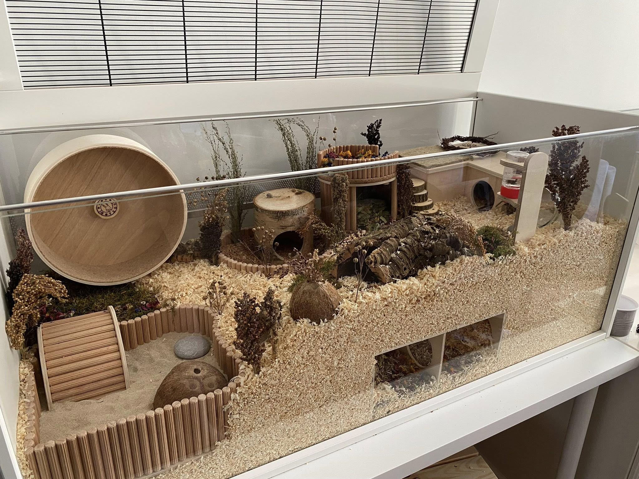 Proper large hamster enclosure with deep bedding