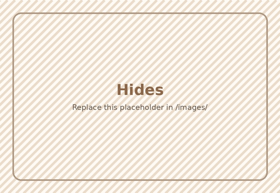 Safe hamster hides