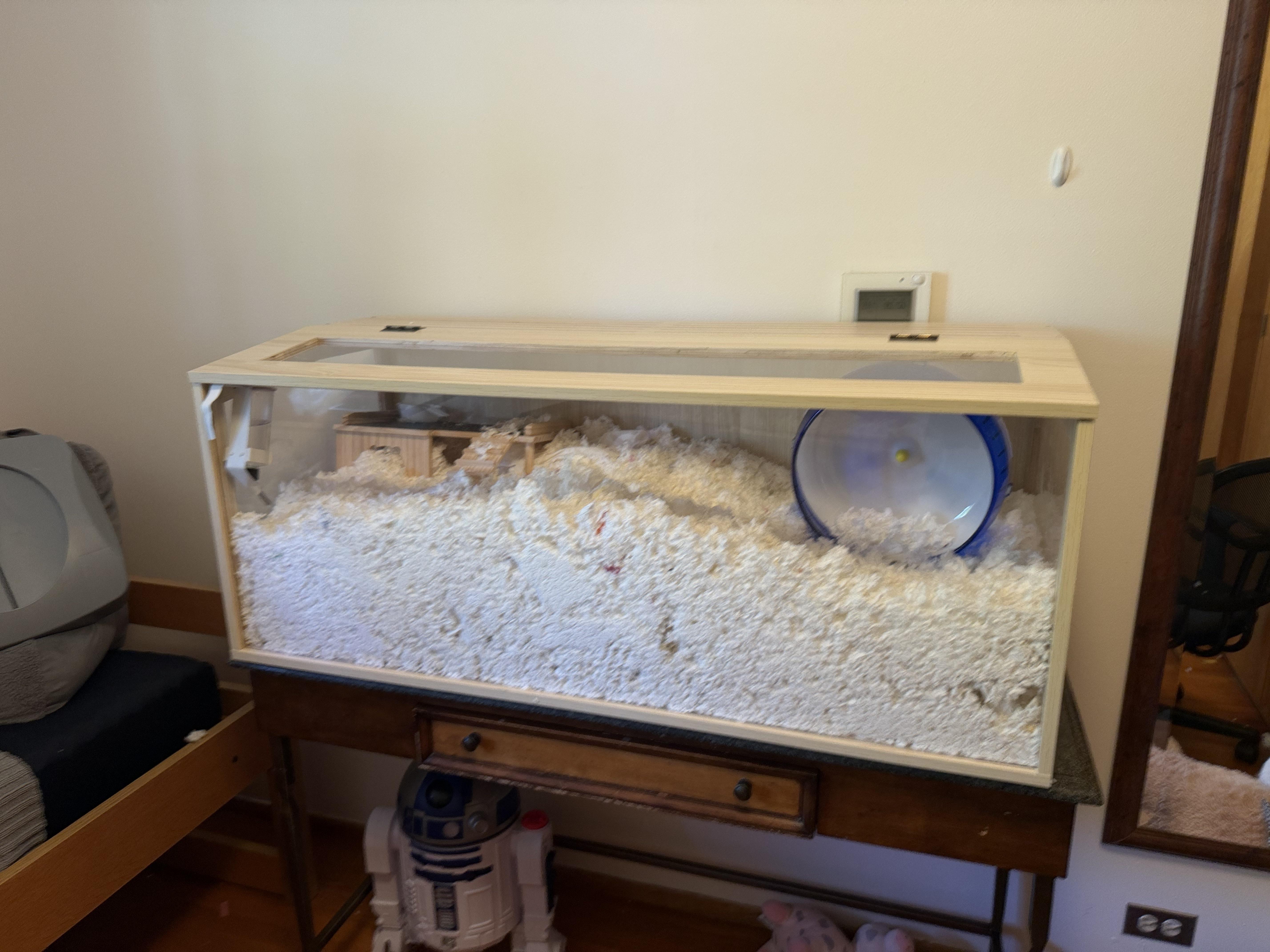 A mostly empty hamster enclosure with very little cover or enrichment