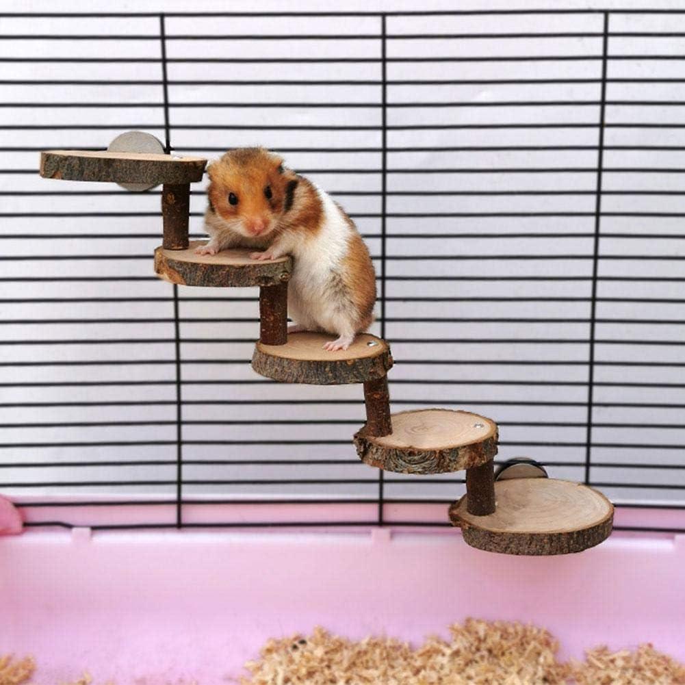 Unsafe hamster enrichment items such as fluffy nesting material and tall climbing toys